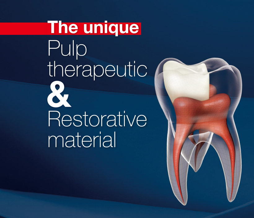 Preview picture LP_ brochure